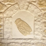 Cigale dessinée dans l'enduit façon pierre