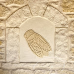 Cigale dessinée dans l'enduit façon pierre